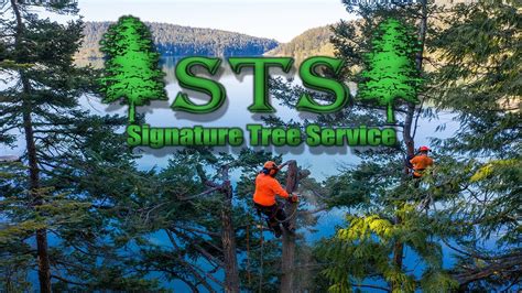 Anacortes tree service  Tree service, landscaping, Dream Turf, site preps, stump grinding, brush hogging, chipping, field mowing